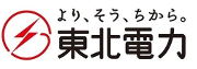 蓄電池 東北電力